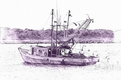 913DF903-DFD0-4502-9698-AD3764D93907